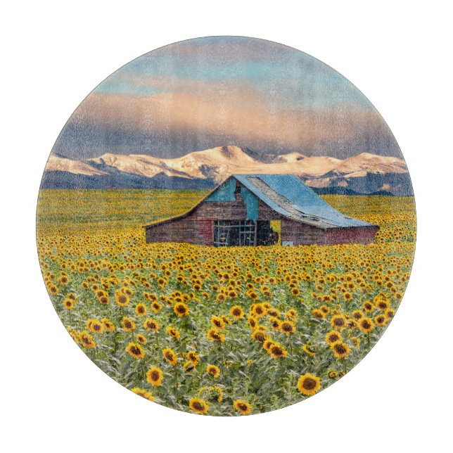 Farms | Sunflower Field (Framsidan)