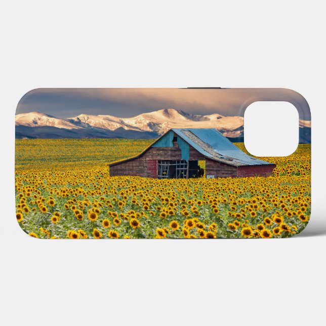 Farms | Sunflower Field (Baksida (horisontell))