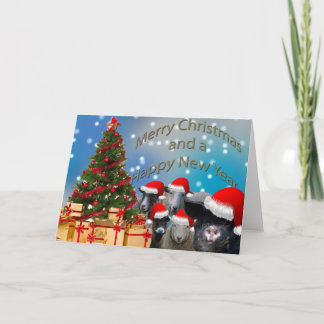 farmyard christmas-kort.jpg helgkort