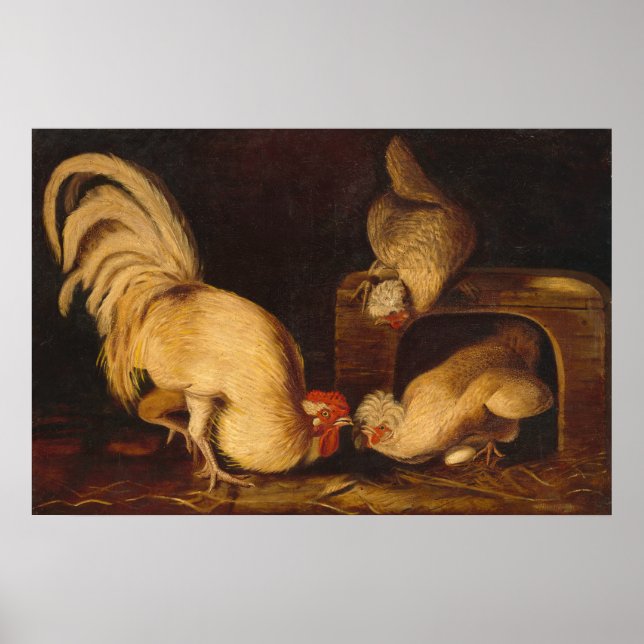 Farmyard Fowls, John James Audubon Fine Art Poster (Framsidan)