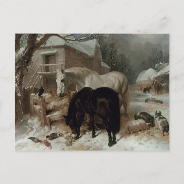 Farmyard Scene Vykort (Framsida)