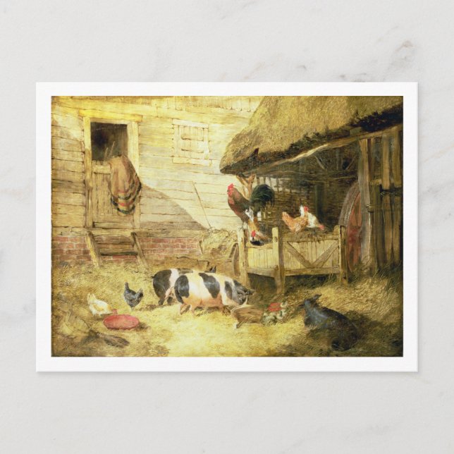 Farmyard Scene Vykort (Framsida)