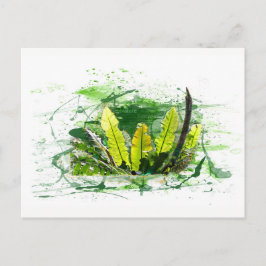 Farn, Blätter, Dschungel, Landschaft, Natur Vykort