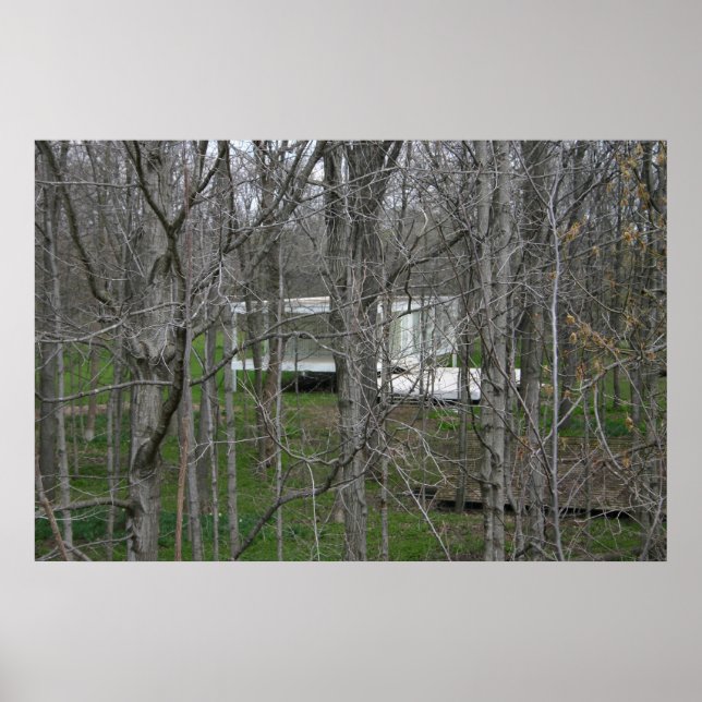 Farnsworth House, Skogen Poster (Framsidan)