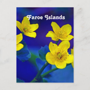 Färöarna Vykort