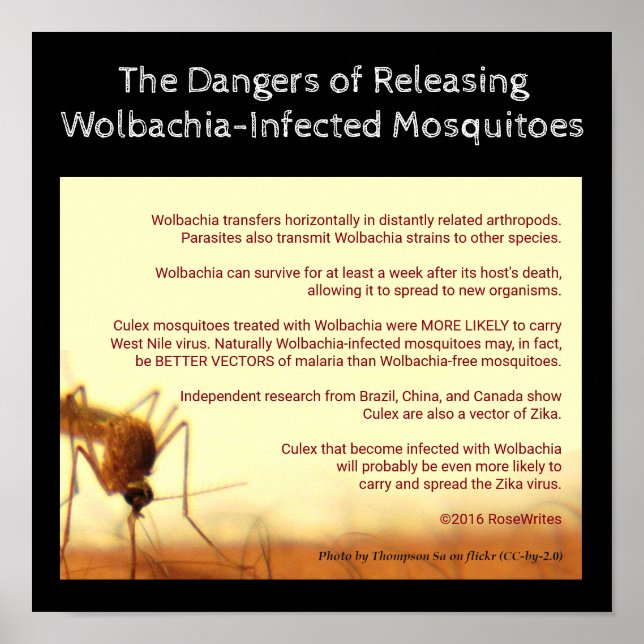 Farorna med Wolbachia av RoseWrites Poster (Framsidan)