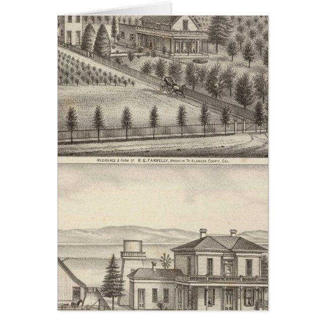 Farrelly, Mathews-bostäder, gårdar Hälsningskort (Framsidan)