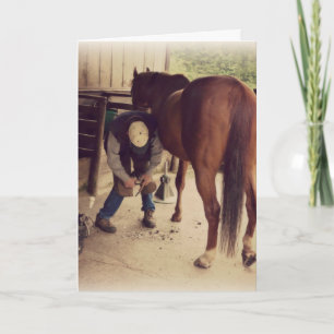 Farrier - Beresh Horse Photo Hoof Trim Kort