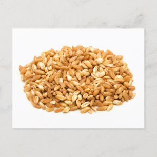 Farro Vykort