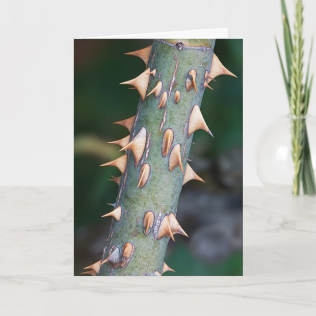 "Fars dag" är du Redo? Kort (Framsida)