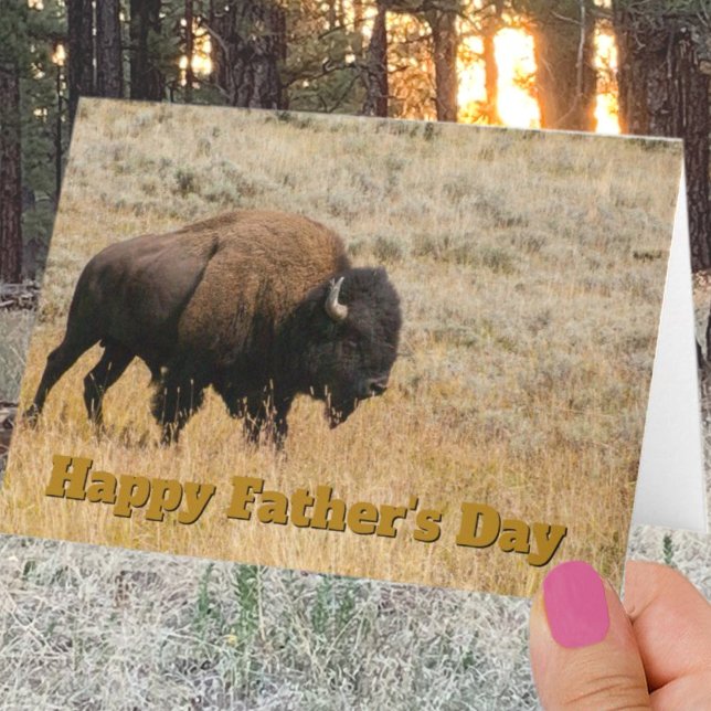 Fars dag Bison in Prairie Grass Photo Template Kort (Skapare uppladdad)