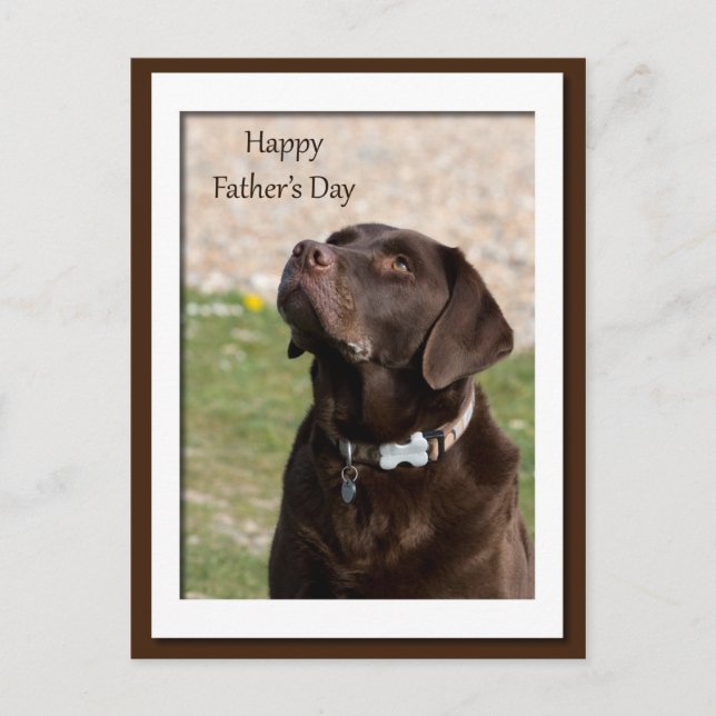 Fars dag Chocolate Brown Labrador Hund Vykort (Framsida)