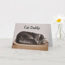 Fars dag Cute Tabby katt pappa