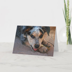 Fars dag - den bäst pappor är hund älskare kort