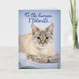 Fars dag från katten till människan tolererar jag kort