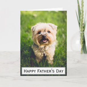 Fars dag Hundpappa Bästa Största Någonsin Husdjur Kort