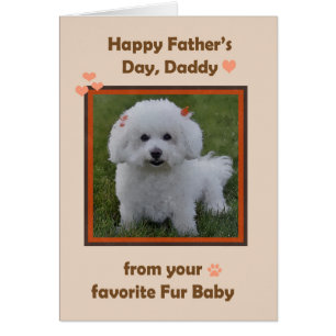 Fars dag pappa från Bichon med foto Ram Hälsningskort