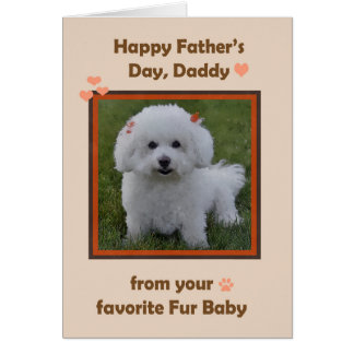 Fars dag pappa från Bichon med foto Ram Hälsningskort
