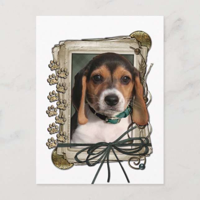 Fars dag - Stone Tassar - Beagle Puppy Vykort (Framsida)