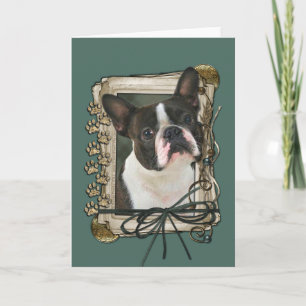 Fars dag - Stone Tassar - Boston Terrier Kort