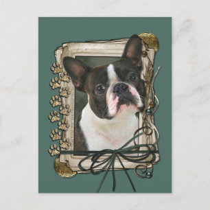 Fars dag - Stone Tassar - Boston Terrier Vykort
