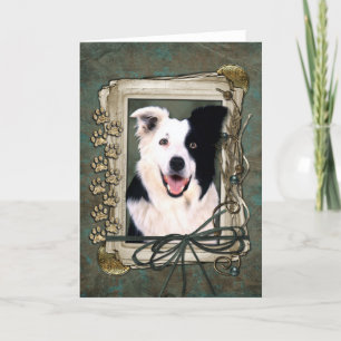 Fars dag - Stone Tassar - Gräns Collie Kort