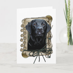 Fars dag - Stone Tassar - Labrador - Black Kort