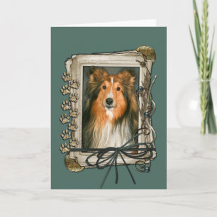 Fars dag - Stone Tassar - Sheltie Kort
