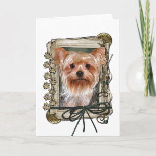 Fars dag - Stone Tassar - Yorkshire Terrier Kort