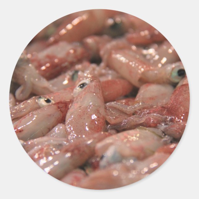 Färsk bläckfisk runt klistermärke (Framsida)