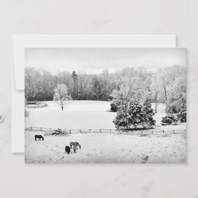 Färsk Fallen Snö vid Horse Ranch Julkort (Framsida)