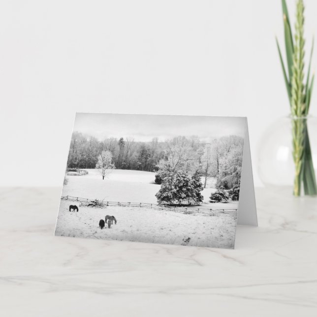 Färsk Fallen Snö vid Horse Ranch Kort (Framsida)