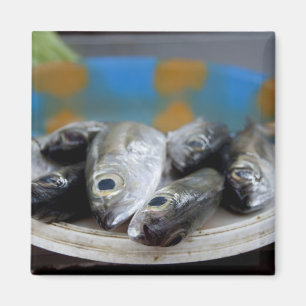 Färsk fisk på fiskmarknad Mercado de Peixe), Magnet