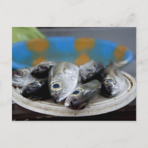 Färsk fisk på fiskmarknad Mercado de Peixe), Vykort