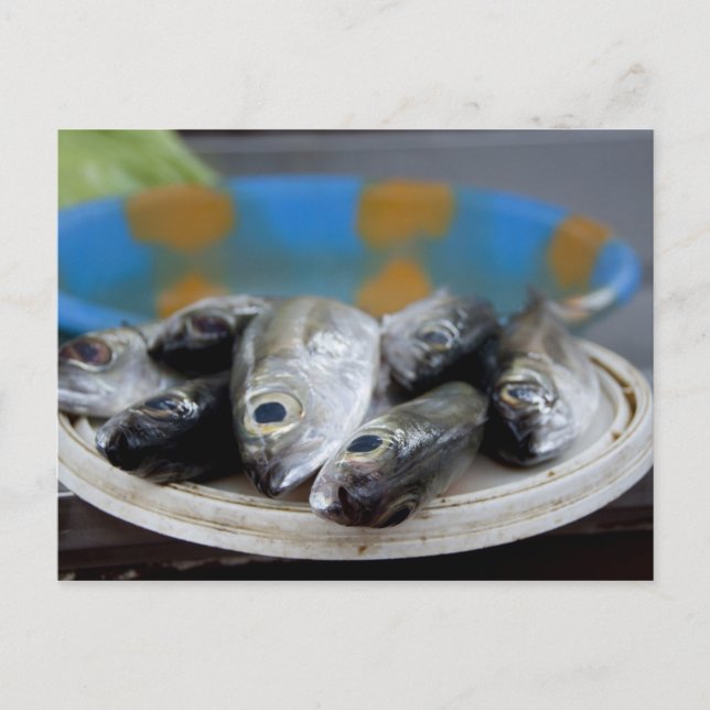 Färsk fisk på fiskmarknad Mercado de Peixe), Vykort (Framsida)