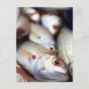 Färsk fisk vykort