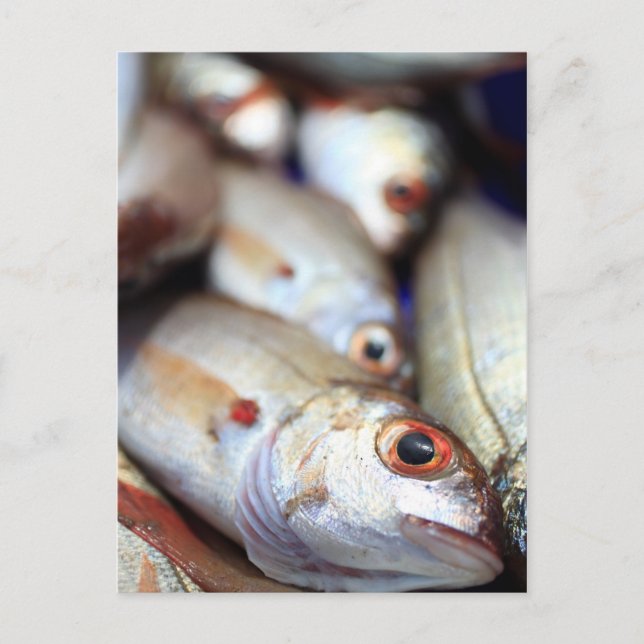 Färsk fisk vykort (Framsida)