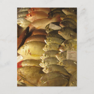 Färsk fisk vykort
