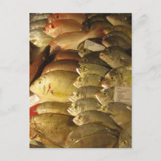 Färsk fisk vykort