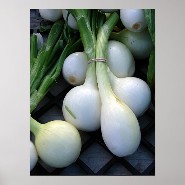 Färsk från gården poster (Framsidan)