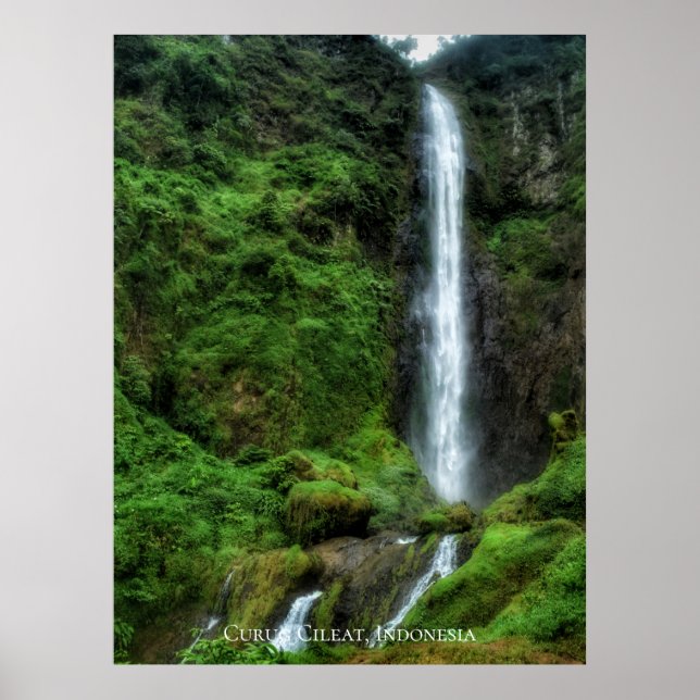 Färsk Frodig Grön Naturlig Vattenfall Poster (Framsidan)