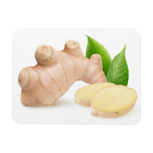 Färsk ginger magnet