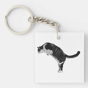 Färsk kattaccent