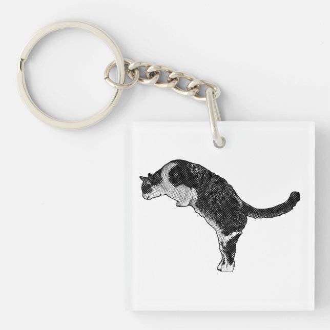 Färsk kattaccent (Framsidan)