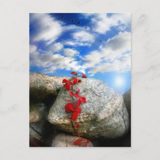 Färsk Luft,efterkort Vykort