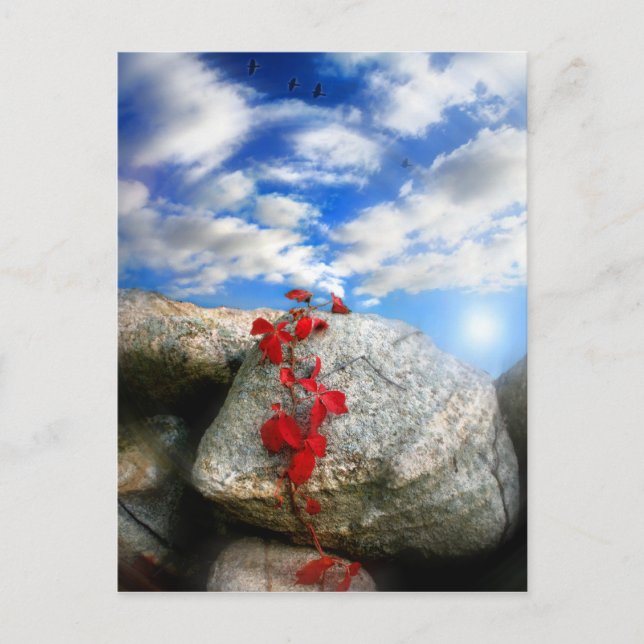 Färsk Luft,efterkort Vykort (Framsida)