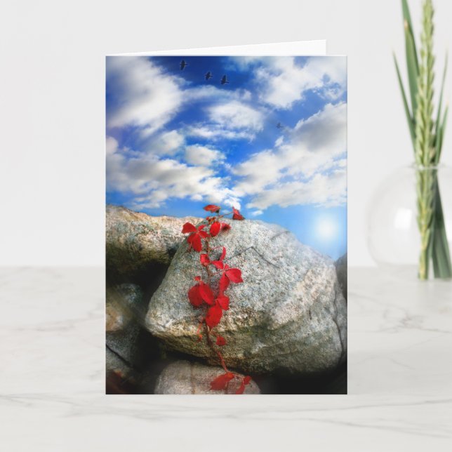 Färsk luft kort (Framsida)