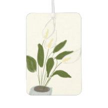 Färsk luft-kvinnas lycka