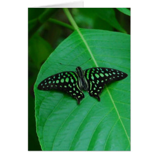 Färsk och Grönt OBS Kort