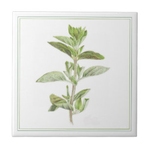 Färsk OREGANO 4,25x4,25 Keramisk Kakel